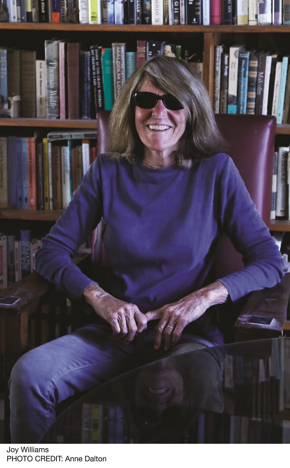 Joy Williams by Anne Dalton